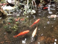 -映像威海·威海宴(威高广场店)