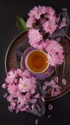 -龙文宝贝上门婴儿理发满月剃胎毛(黄浦店)