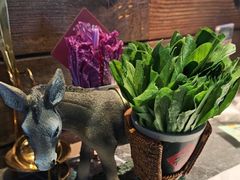 -慢丽江·云南野生菌土鸡锅(西山店)