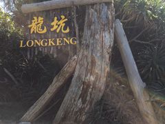 -龙坑生态保护区