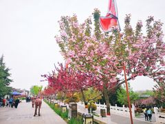 -西安汉城湖景区