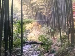 -天目湖御水温泉·度假酒店