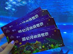 -西双版纳原始森林公园