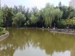 -西安市长乐公园