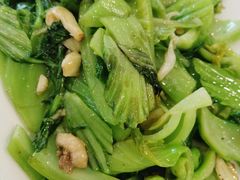 生炒水东芥-荔枝楼酒家(员村东璟店)