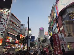 -涩谷区