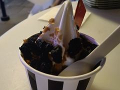 -JW德国冻酸奶Frozen Yogurt(龙湖成都滨江天街店)
