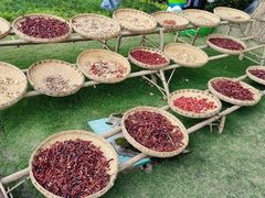 -中国天府农业博览园