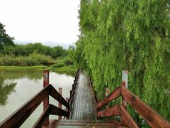 -长兴太湖图影湿地文化园