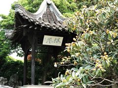 -何园