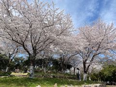 -滆湖低碳生态公园
