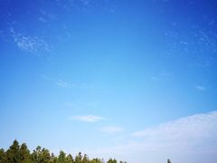 -崇明东平国家森林公园烧烤房车露营地