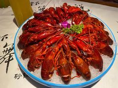 金牌冰镇龙虾-舞虾小说.涮肉.烧烤(国顺东路店)