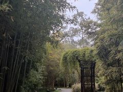 -望江楼公园