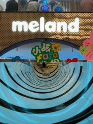 -meland亲子乐园(珠海环宇城店)