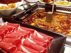 -海底捞火锅(吾悦广场店)