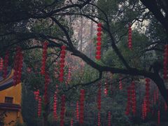 景点-杭州上天竺法喜讲寺