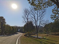 -南京市江宁方山