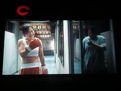 -枫花园汽车电影院(朝阳公园店)