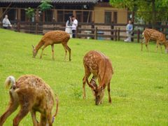 -良渚古城遗址公园