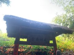 -洛阳白马寺