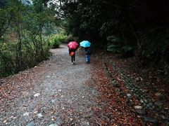 -太鲁阁公园