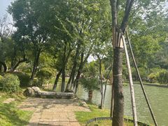 -黑龙潭公园