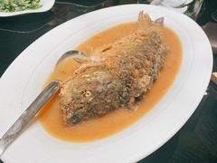 浓汤烧瓦块鲤鱼-阿庄新豫菜(航海东路店)
