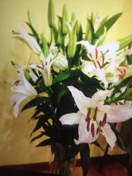 -FineYoga梵音瑜伽·普拉提