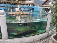 -天怡·鱼工厂(临江店)
