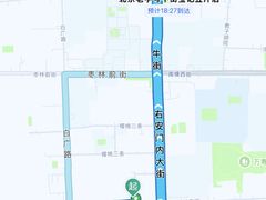 -白纸坊美式炸鸡