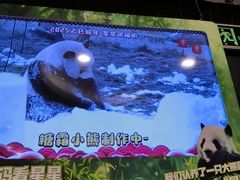 -眉州东坡(团结湖店)