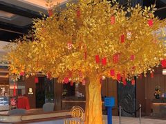 -上海虹桥祥源希尔顿酒店