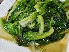 -麻奢鸽农庄·梦里水乡