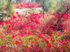 -厦门园林植物园-植物园滴水山房