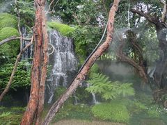 -Chom Cafe and Restaurant