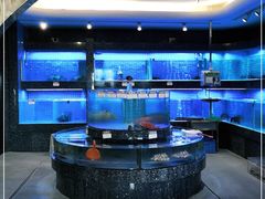 水产区-金悦轩海鲜城(渔人码头店)