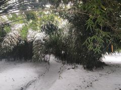 -堤角公园