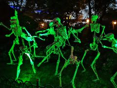 -七彩云南欢乐世界