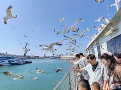 -海驴岛(荣成市)