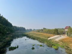 -东郊湿地公园