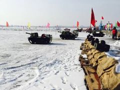 -丁香湖丁香小镇Citypark滑雪公园戏雪嘉年华