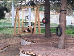 -西安秦岭野生动物园