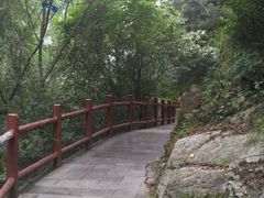 -王顺山国家森林公园