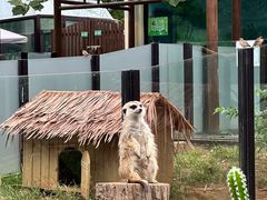 -大连森林动物园