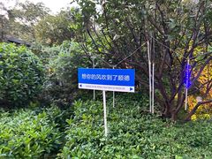 -顺德渔村·岭南一号