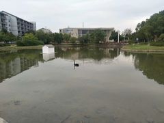 -安徽大学(磬苑校区)