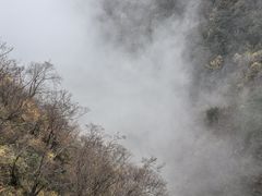 -塔云山