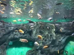 -常州海昌海洋探索馆