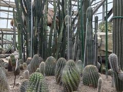 -南山植物园